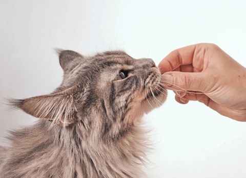 Picture for category Hypoallergenic Treats